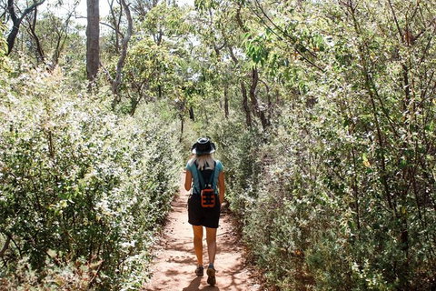 Kitty\'s Gorge Guided Hike - Holiday Cairns 5