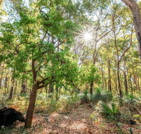 Kitty's Gorge Guided Hike - Holiday Cairns
