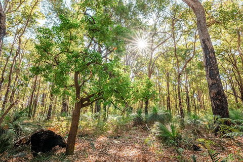 Kitty\'s Gorge Guided Hike - Holiday Cairns 0