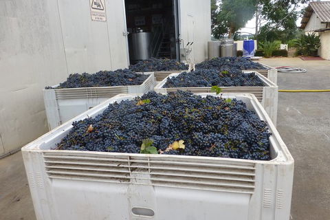 A Taste Of Margaret River Luxury Wine Tour - Holiday Cairns 3