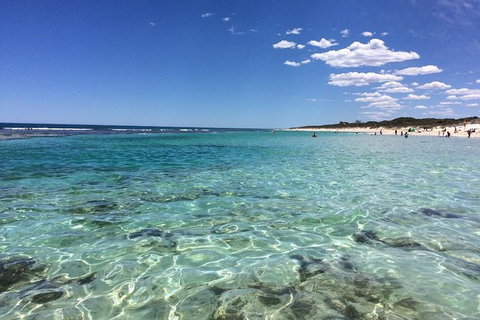 3-Day Shark Bay, Monkey Mia, Kalbarri West Coast Tour - Holiday Cairns 8