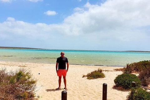 3-Day Shark Bay, Monkey Mia, Kalbarri West Coast Tour - Holiday Cairns 2