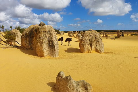 3-Day Shark Bay, Monkey Mia, Kalbarri West Coast Tour - Holiday Cairns 4