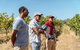 The Beautiful Swan Valley Private Day Trip: Vineyard Tour & Wine - thumb 6