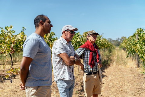 The Beautiful Swan Valley Private Day Trip: Vineyard Tour & Wine - Holiday Cairns 6