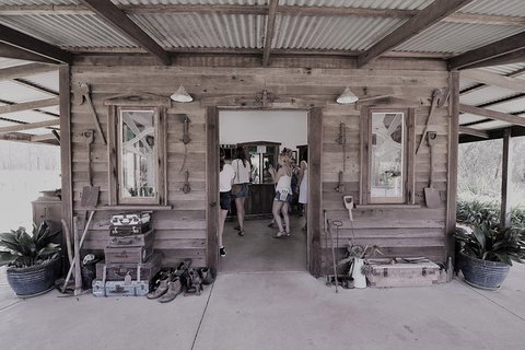 The Favourite 4 Experience - Holiday Cairns 0