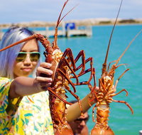 Rock lobster Pot Pull Tour in Kalbarri - Holiday Cairns