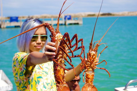 Rock Lobster Pot Pull Tour In Kalbarri - Holiday Cairns 0