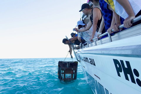 Rock Lobster Pot Pull Tour In Kalbarri - Holiday Cairns 5