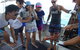Rock Lobster Pot Pull Tour In Kalbarri - thumb 1