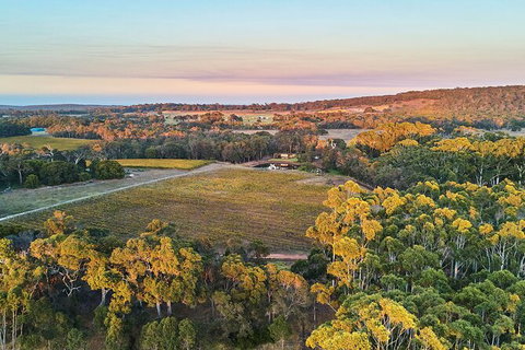 Provenance Unearthed â„¢ â€“ A Guided Tasting - Holiday Cairns 3