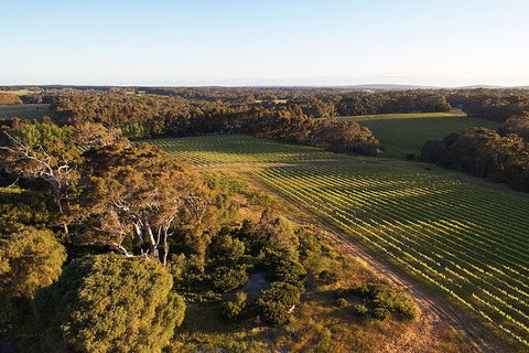 Private Wine Discovery Class And Food Tasting In Margaret River - Holiday Cairns 2