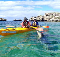 Penguin and Seal Islands Sea Kayaking Experience - Holiday Cairns
