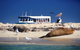Dolphin, Penguin And Sea Lion Cruise - thumb 0