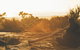 4-Day South West Yoga And Wellness Tour From Perth - thumb 5