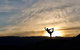 4-Day South West Yoga And Wellness Tour From Perth - thumb 0