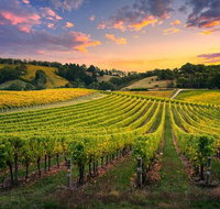 Swan Valley Sunset Wine Tour - Premium Small Group Tour - Holiday Cairns