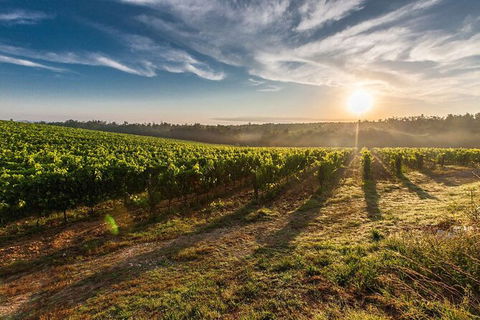 Perth To Margaret River Wine Tour - 2 Day Premium Boutique Wine Tour Experience - Holiday Cairns 0