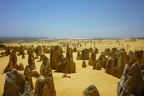 Pinnacles Desert Private Tour - Holiday Cairns 5