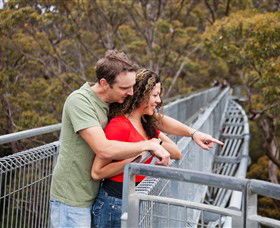 Valley Of The Giants Tree Top Walk - Holiday Cairns 0