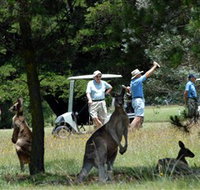 Glen Innes Golf Club - Holiday Cairns