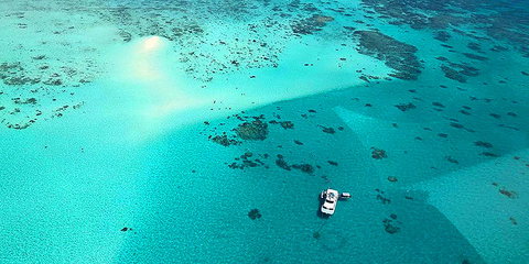 Ocean Free & Ocean Freedom - Cairns Premier Reef And Island Tours - Holiday Cairns 3