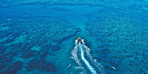 Ocean Free & Ocean Freedom - Cairns Premier Reef And Island Tours - Holiday Cairns 4