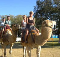 Calamunnda Camel Farm - Holiday Cairns