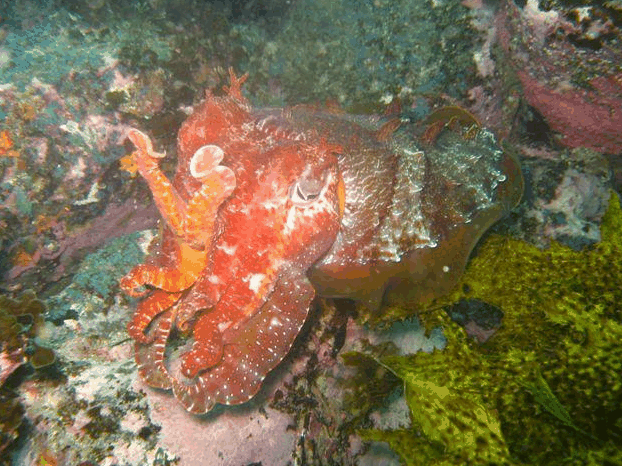 Hyams Beach NSW Holiday Cairns