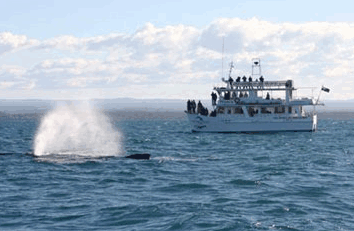 Huskisson NSW Holiday Cairns