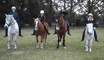 Valhalla Horse Riding - Holiday Cairns 1