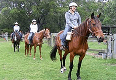 Valhalla Horse Riding - Holiday Cairns 2