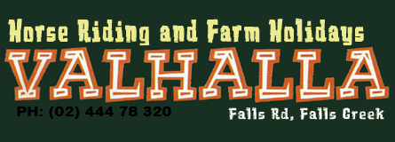 Valhalla Horse Riding - Holiday Cairns 4