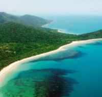 Jungle Tours and Trekking - Holiday Cairns