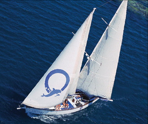 Ocean Free & Ocean Freedom - Cairns Premier Reef And Island Tours - Holiday Cairns 0
