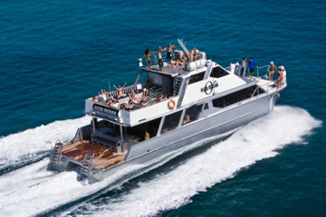 Ocean Free & Ocean Freedom - Cairns Premier Reef And Island Tours - Holiday Cairns 2