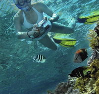 Calypso Reef Charters - Holiday Cairns