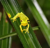 Daintree River Cruise Centre - Holiday Cairns