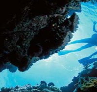 Deep Sea Divers Den - Holiday Cairns