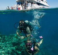 Down Under Cruise and Dive - Holiday Cairns