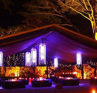 Flames Of The Forest - Holiday Cairns