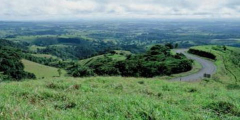 Food Trails Tours - Holiday Cairns 1