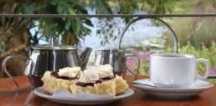 Food Trails Tours - Holiday Cairns 2