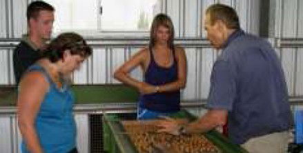 Food Trails Tours - Holiday Cairns 3