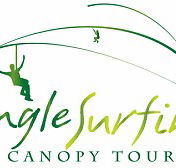 Jungle Surfing Canopy Tours and Jungle Adventures Nightwalks - Holiday Cairns