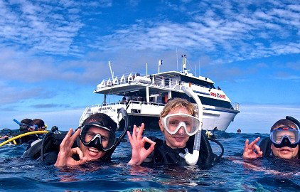 Pro Dive Cairns - Holiday Cairns 0