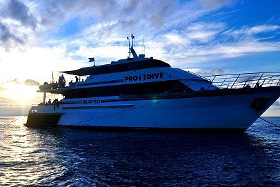 Pro Dive Cairns - Holiday Cairns 1