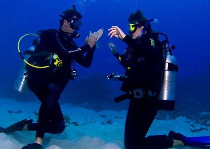 Pro Dive Cairns - Holiday Cairns 2