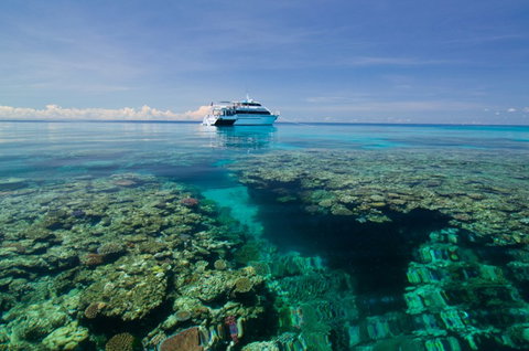 Pro Dive Cairns - Holiday Cairns 4