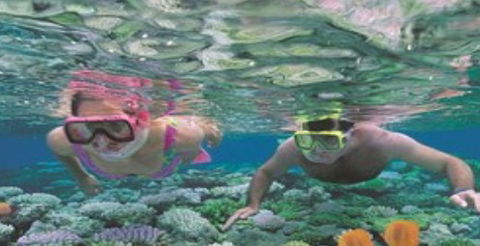 Quicksilver Cruises - Holiday Cairns 2